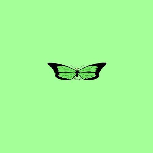 Travis cover art