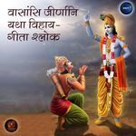 Vasansi Jirnani Yathavihaya-Gita Shloka