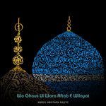 Wo Ghaus Ul Wara Aftab E Wilayat