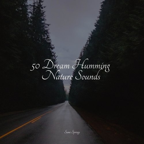 50 Dream Humming Nature Sounds