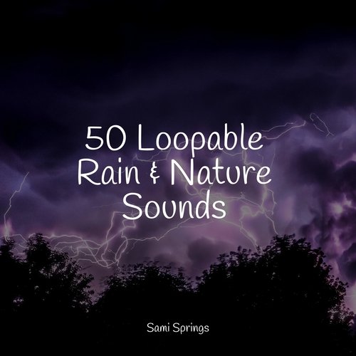 50 Peaceful Rain Drop Songs_poster_image