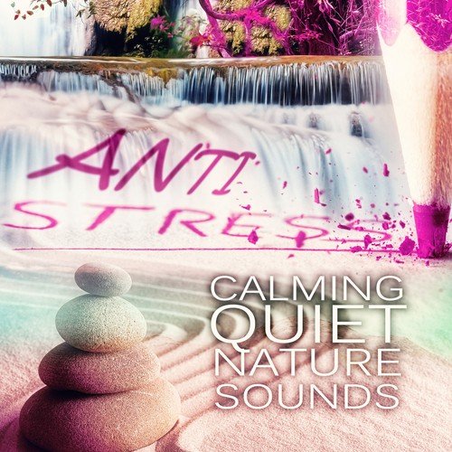 Anti Stress Music - Calming Quiet Nature Sounds, Relaxing Chill Out Music with Sounds of Nature, White Noise 4 Deep Sleep