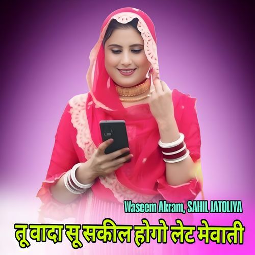 तू वादा सू सकील होगो लेट मेवाती