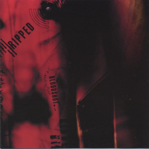 Jamie cover art