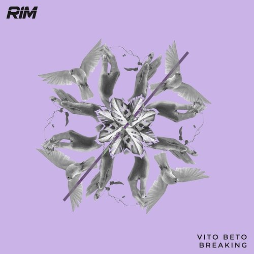 Breaking cover art