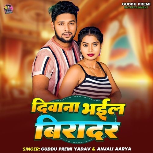Deewana Bhail Viradar cover art