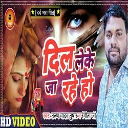 Dil leke ja rahe ho