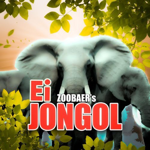 Ei Jongol