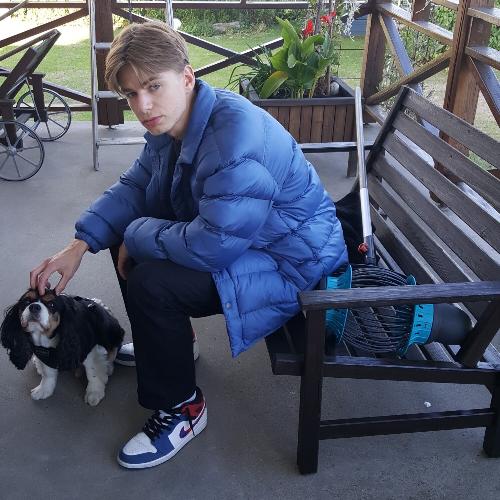 Dom säger att det blir bättre cover art