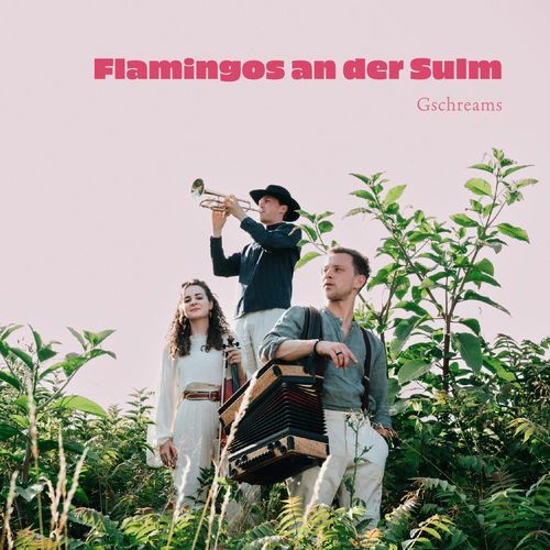 Flamingo (feat. Herbert Pixner)