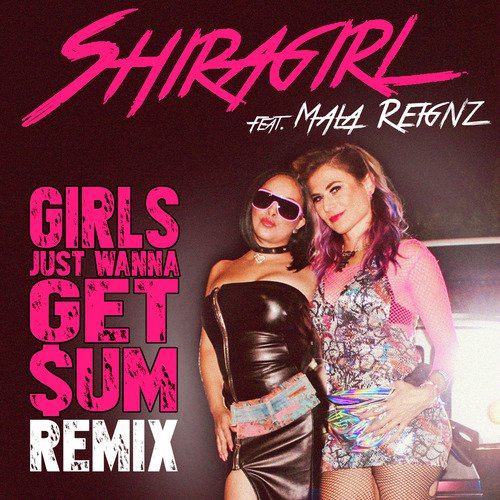 Girls Just Wanna Get Sum (Remix)_poster_image