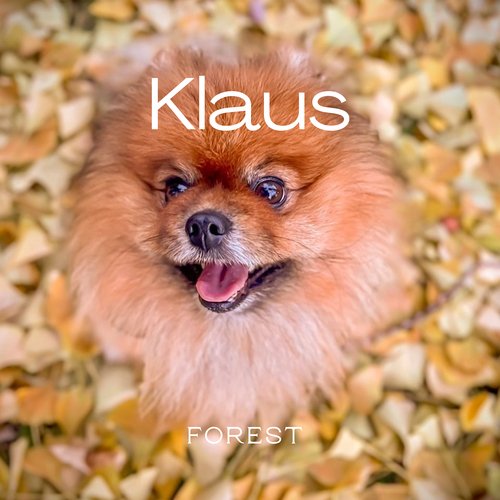 Klaus cover art