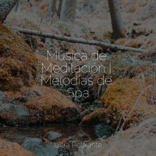 Música de Meditación | Melodías de Spa_poster_image