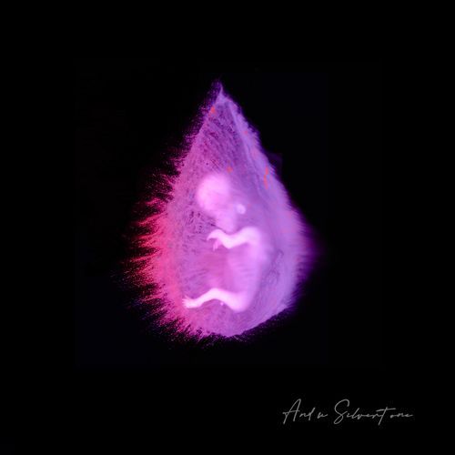 NEVER ENOUGH cover art