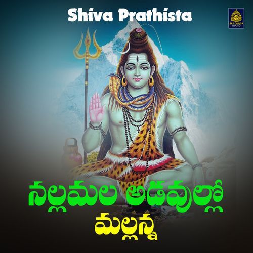 Nallamala Adavullo Mallanna (Shiva Prathista)