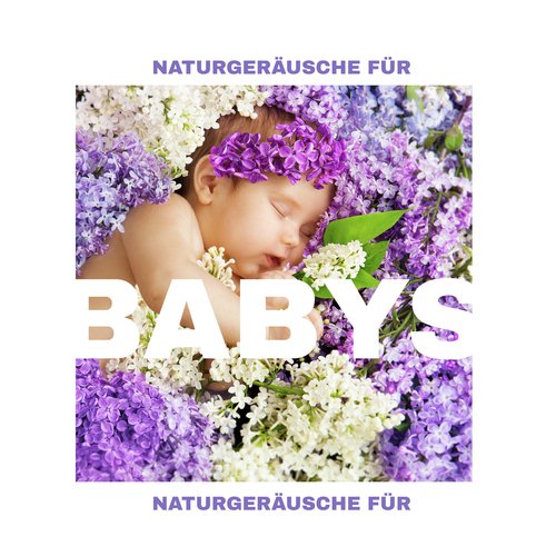 Babymusik cover art