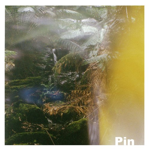 Pin - EP_poster_image