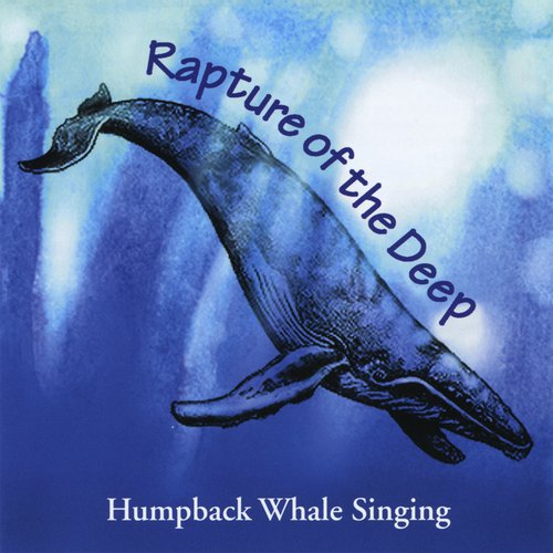 Calm Afternoon cover art