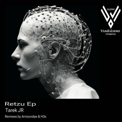 Retzu (Arrioondas Remix) cover art