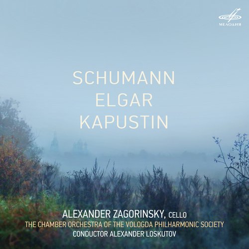 Serenade for String Orchestra in E Minor, Op. 20: II. Larghetto