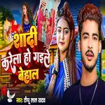 Shadi Karela Ho Gaile Behal