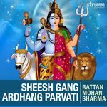 Sheesh Gang Ardhang Parvati