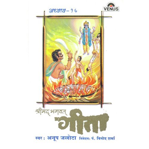 Shreemad Bhagwat Geeta - Vol. 16