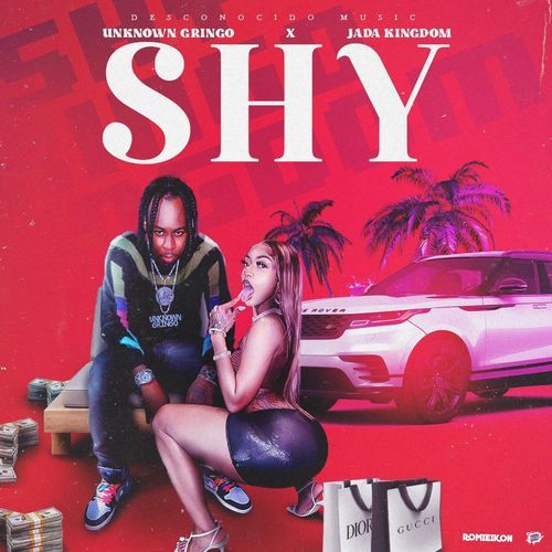 Shy cover art