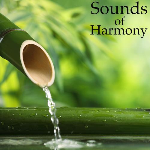 Sounds of Harmony