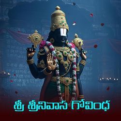 Sri Srinivasa Gogullo