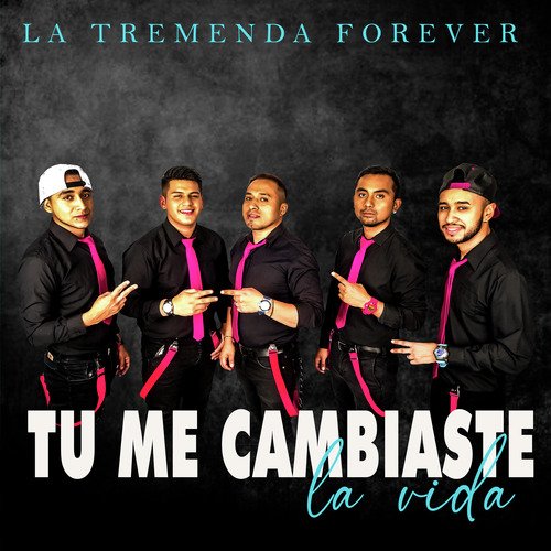 Tú Me Cambiaste la Vida_poster_image