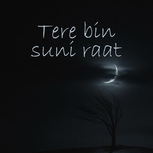Tere bin suni raat