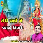 Teri Rahon Mein Palke Bichaun