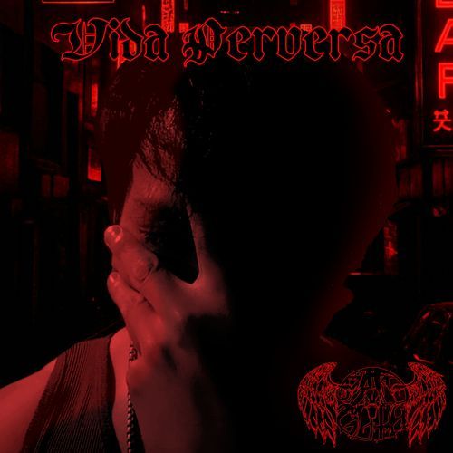 Vida Perversa cover art