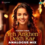 Yeh Ankhen Dekh Kar - Analogue Mix