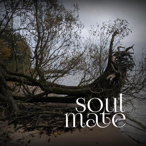 soulmate cover art