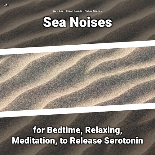 Ocean Sounds to Sleep To cover art