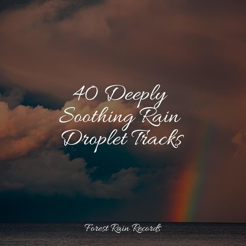 Rain, Storm and Thunder cover art