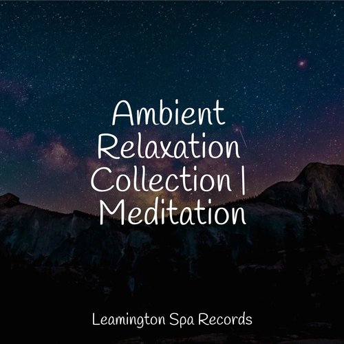 Ambient Relaxation Collection | Meditation