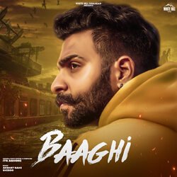 Baaghi-OwMkCUBeD1o