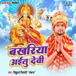 Bakhriya Aitu Devi