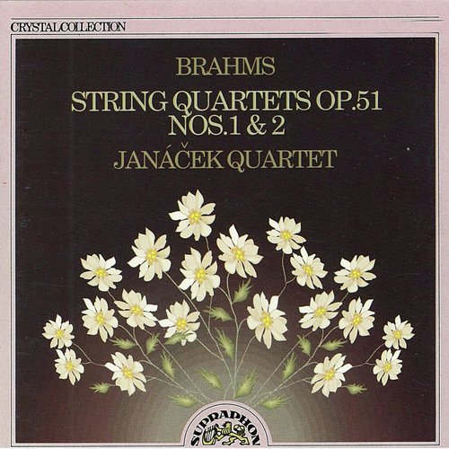 String Quartet No. 1 in C Minor, Op. 51 No. 1: I. Allegro