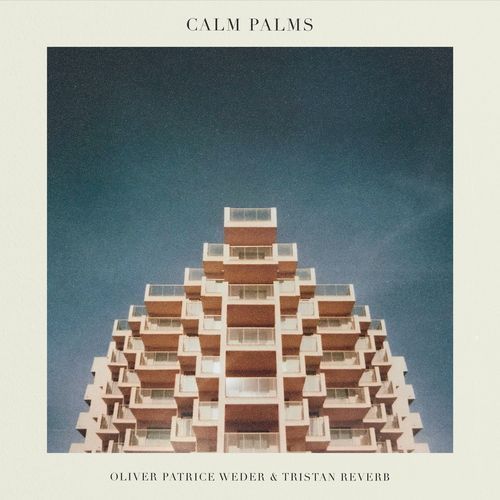 Calm Palms