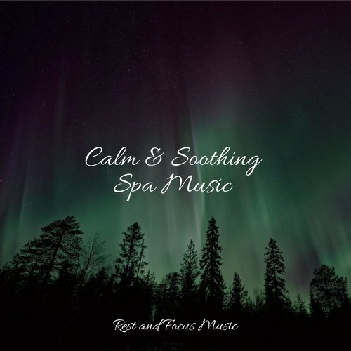 Calm & Soothing Spa Music