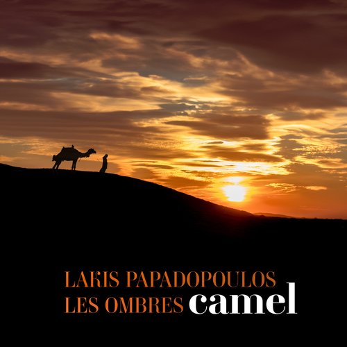 Camel_poster_image