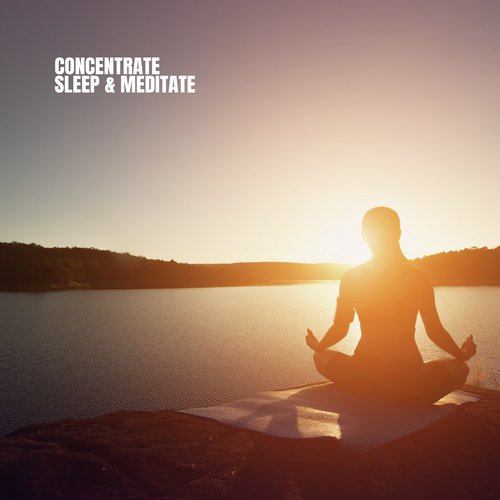 Concentrate Sleep & Meditate