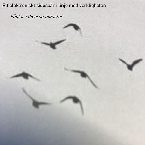 Fåglar i diverse mönster VIII