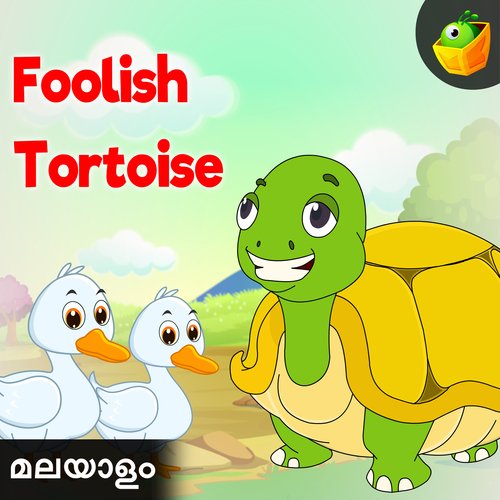 Foolish Tortoise Songs Download - Free Online Songs @ JioSaavn