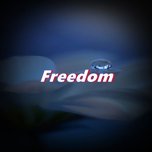 Freedom