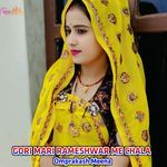 GORI MARI RAMESHWAR ME CHALA